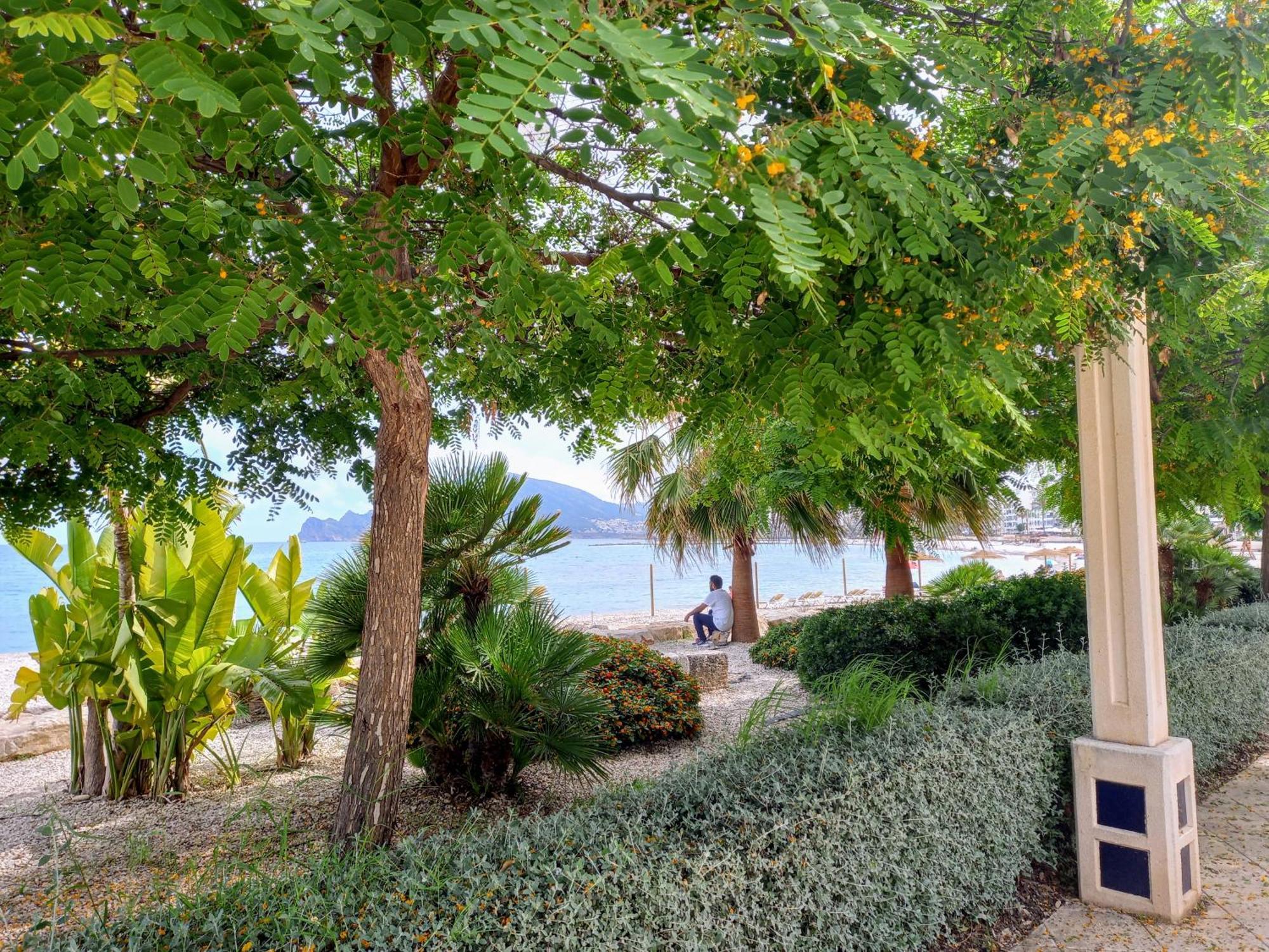 אלתיאה Townhouse Los Olivos M מראה חיצוני תמונה